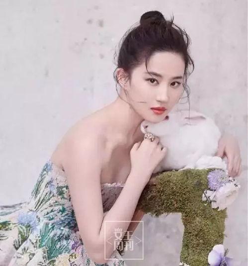 张伟爆料女神刘亦菲视频,刘亦菲幕后视频曝光，女神魅力全解析